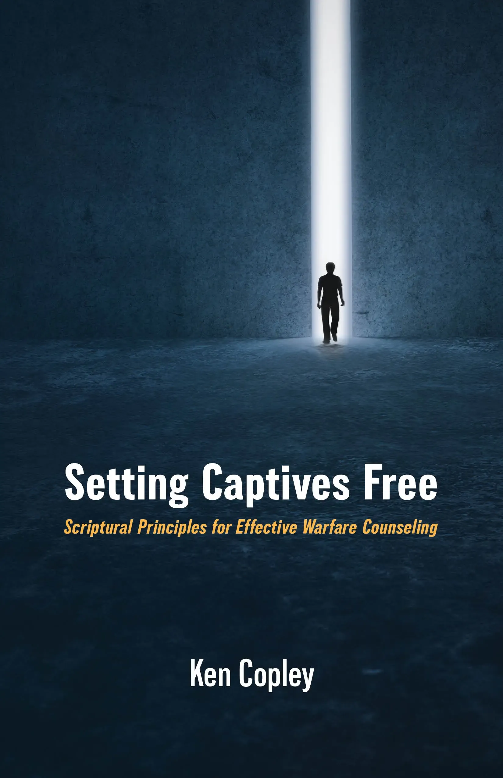 Setting Captives Free book by Ken Copley